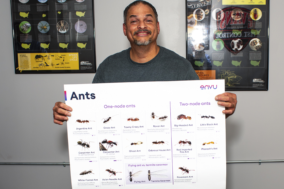 Ants and Crawling Pests: Why Evans Pest Control is Your Best Defense
