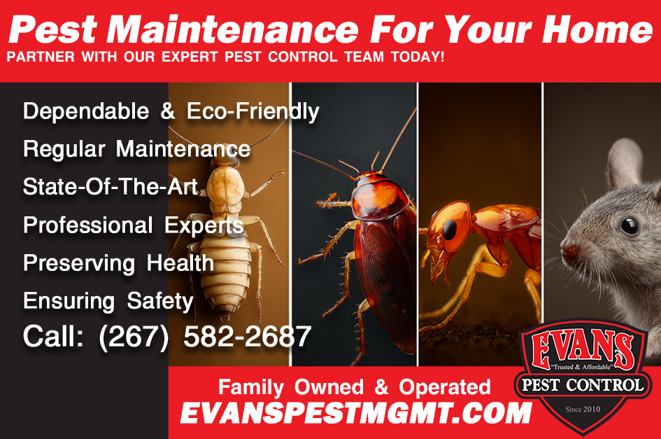 Get Ahead of Summer Pests: Now is the Time to Schedule Pest Maintenance with Evans Pest Control